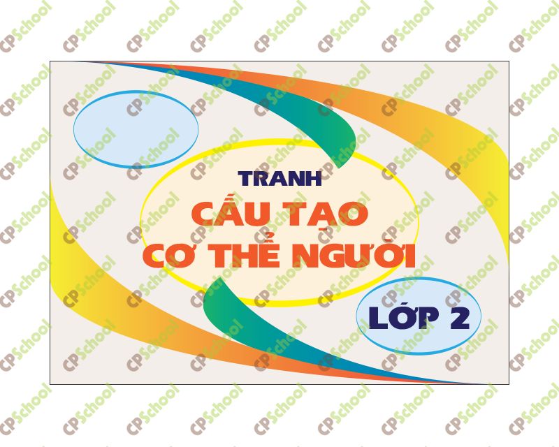 Bộ tranh Cấu Tạo Cơ Thể Người lớp 2